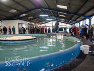 WG031025-37 - Warren Greatrex Stable Visit